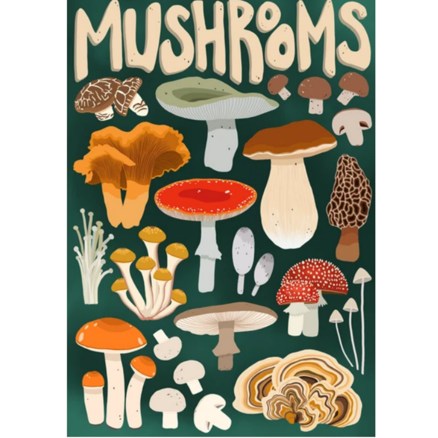 Poster Designed by Kourtni Gunn Included in the Mushroom Forager Puzzle Box